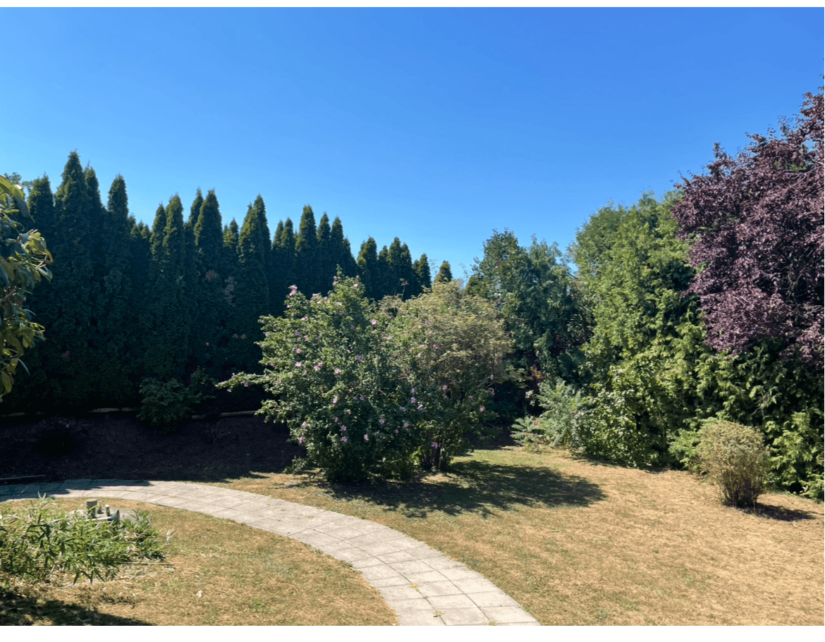 Großer Garten mit Rasenfläche, verschiedenen Bäumen und einem geschwungenen Gartenweg.
