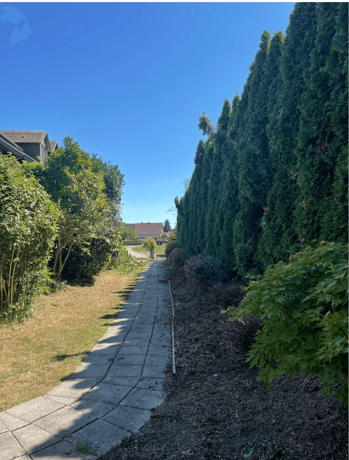 Gartenweg zwischen hohen Hecken und Bäumen, der zu einem hinteren Bereich führt.
