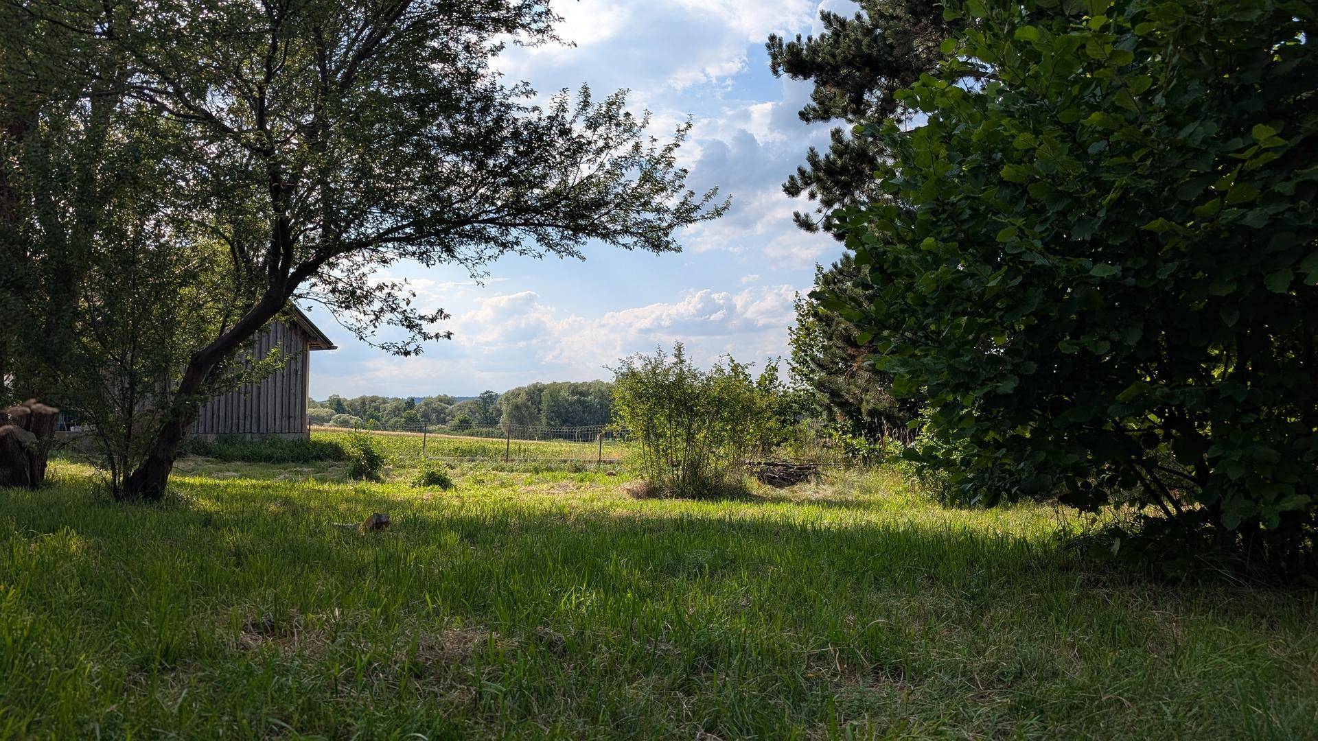 Idyllischer Gartenbereich mit altem Baumbestand, Rasenfläche und weitem Blick in die Landschaft.