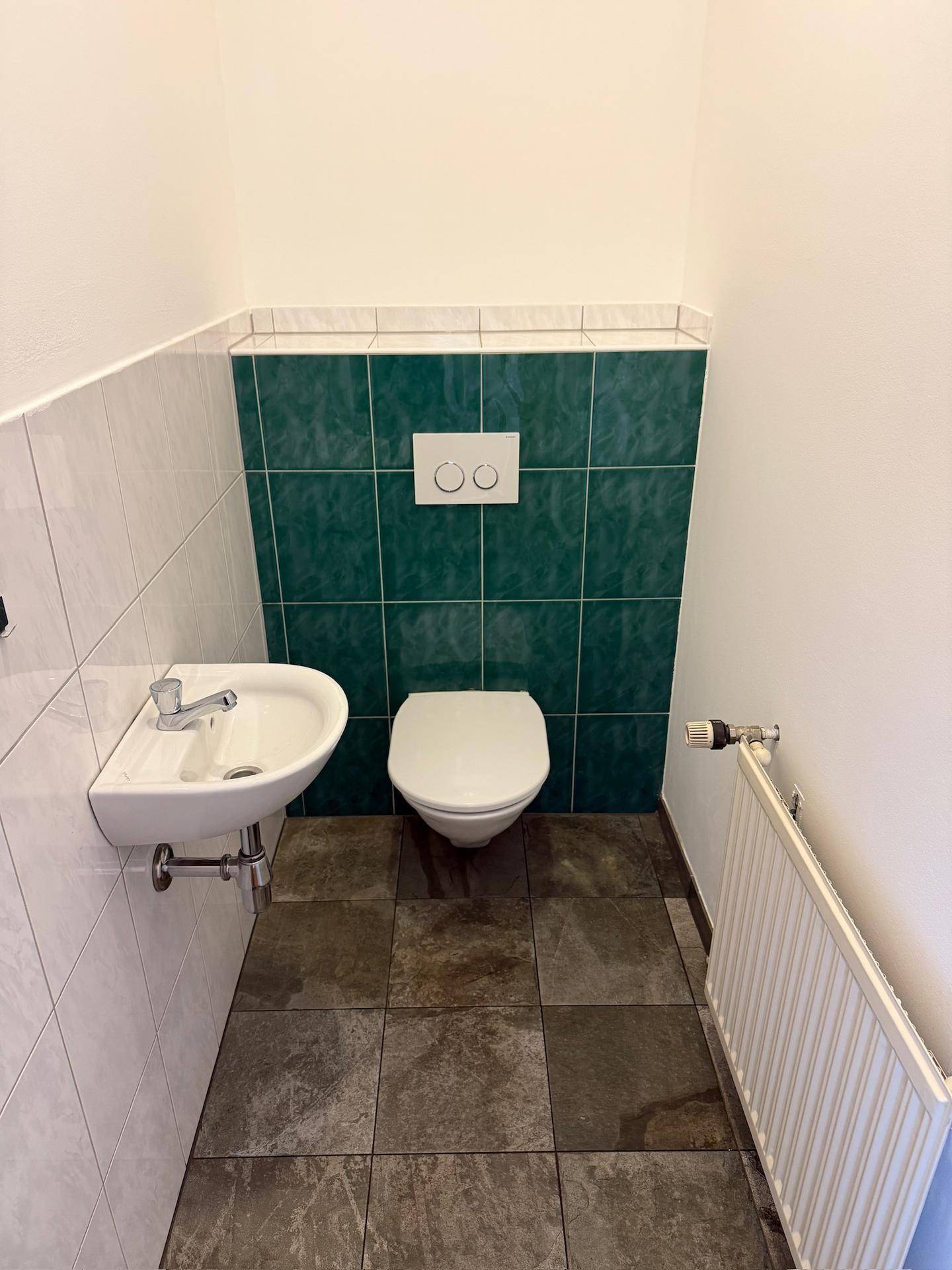 Gepflegte Toilette mit Wand-WC, kleinem Waschbecken und grünen sowie weißen Fliesen.