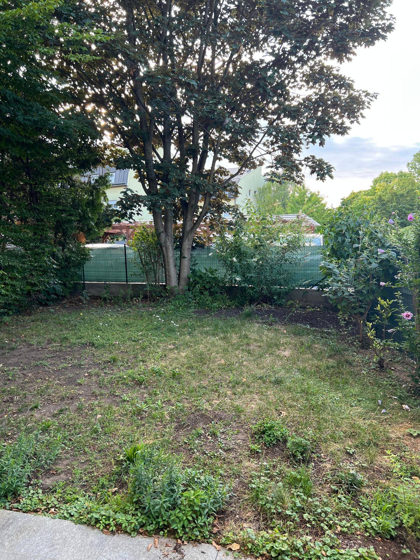 Grüner Gartenbereich mit Bäumen und Sträuchern, umzäunt von einem niedrigen Zaun.