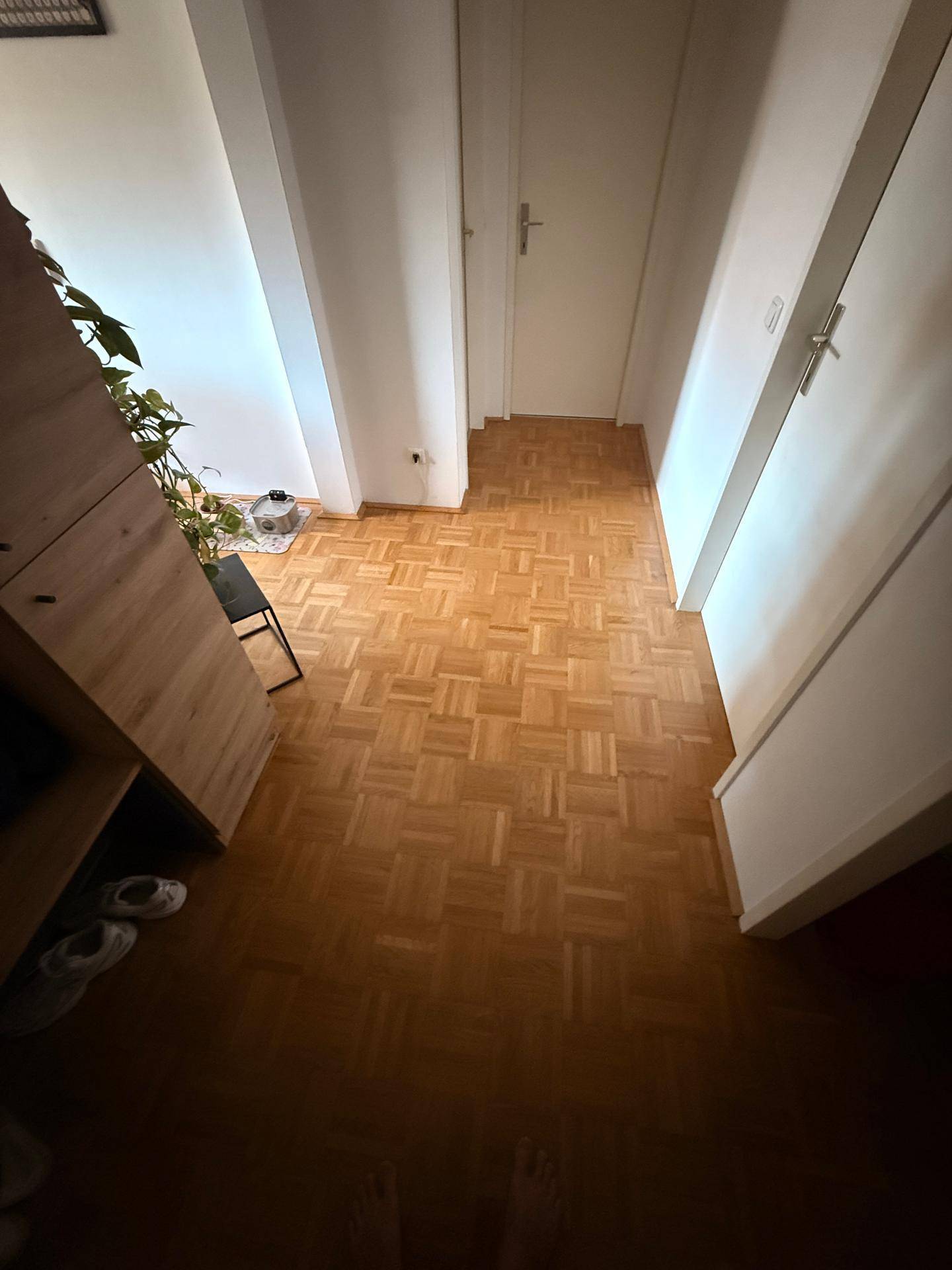 Heller Flur mit klassischem Parkettboden und weißen Türen, der zu weiteren Räumen führt.