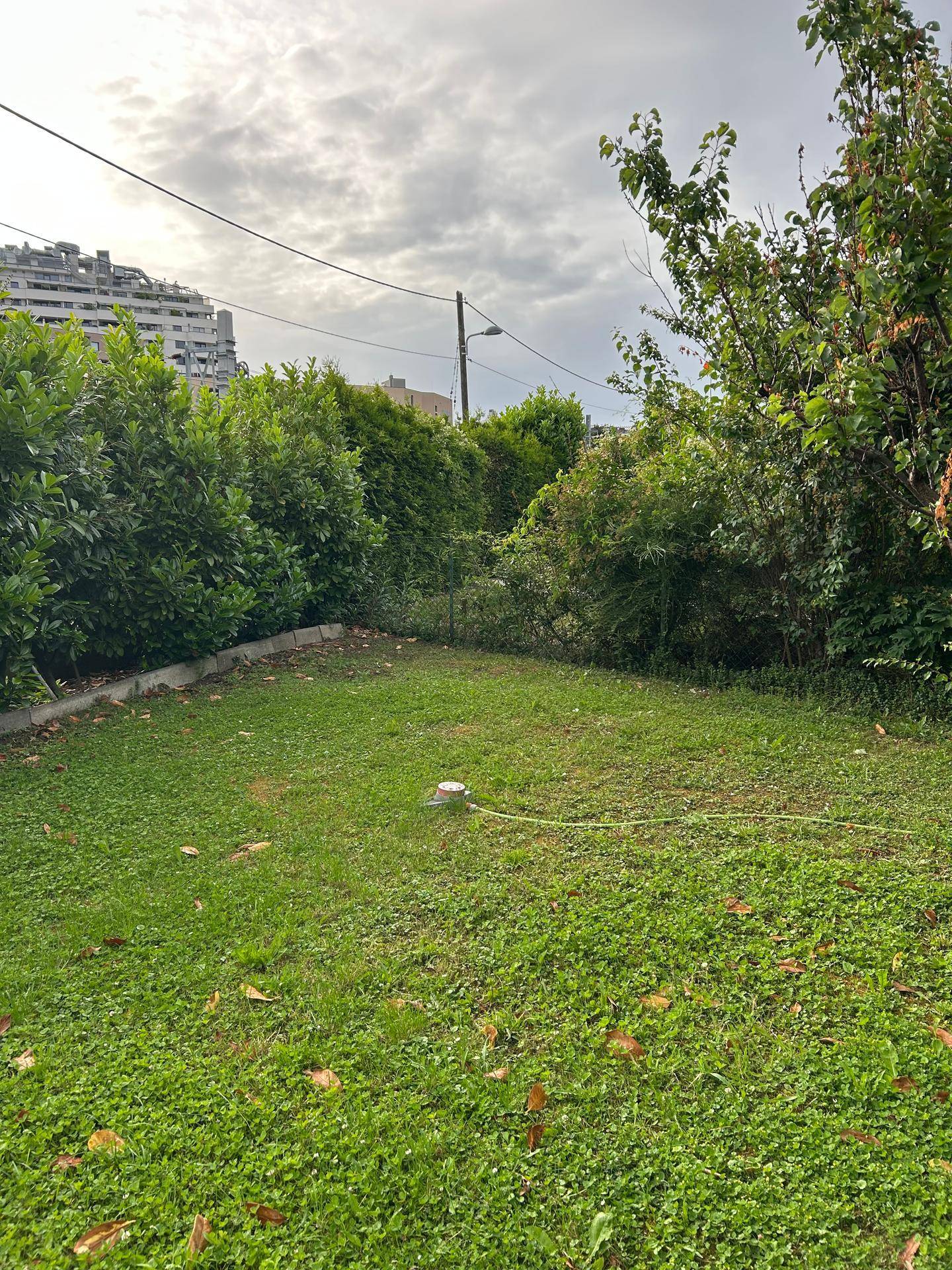 Eine grüne Rasenfläche im Garten, umgeben von hohen Hecken und Bäumen unter bewölktem Himmel.