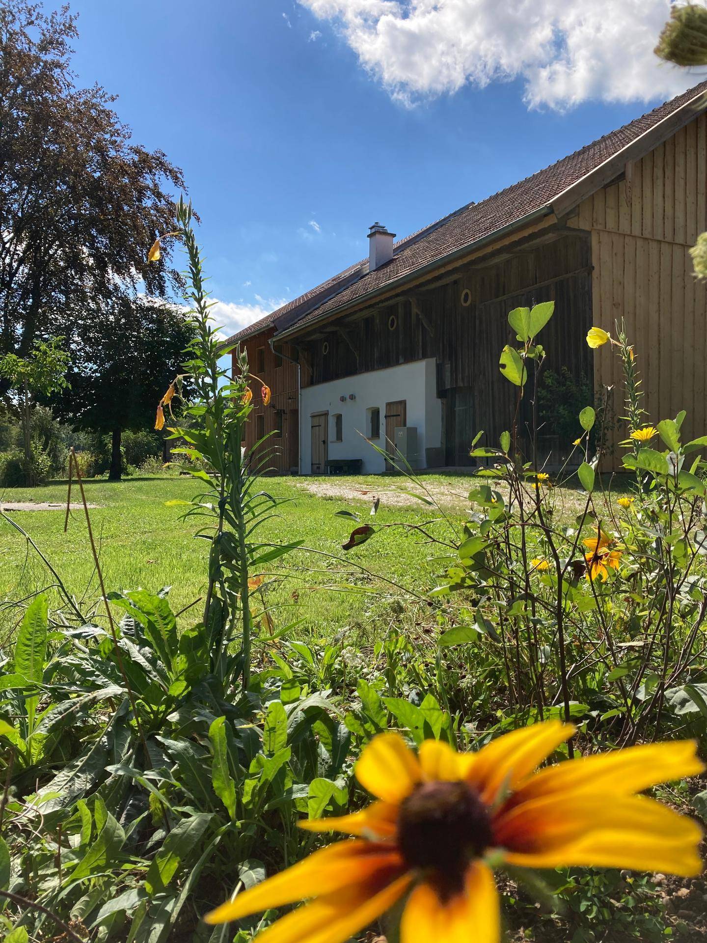 Gelbe Blumen im Vordergrund mit dem ländlichen Anwesen und weitem Himmel im Hintergrund.