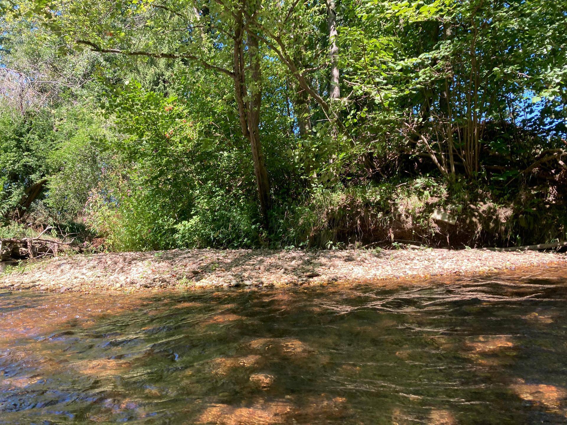 Flacher Bachabschnitt mit Kieselstrand und dicht bewachsenen Ufern in der Natur.
