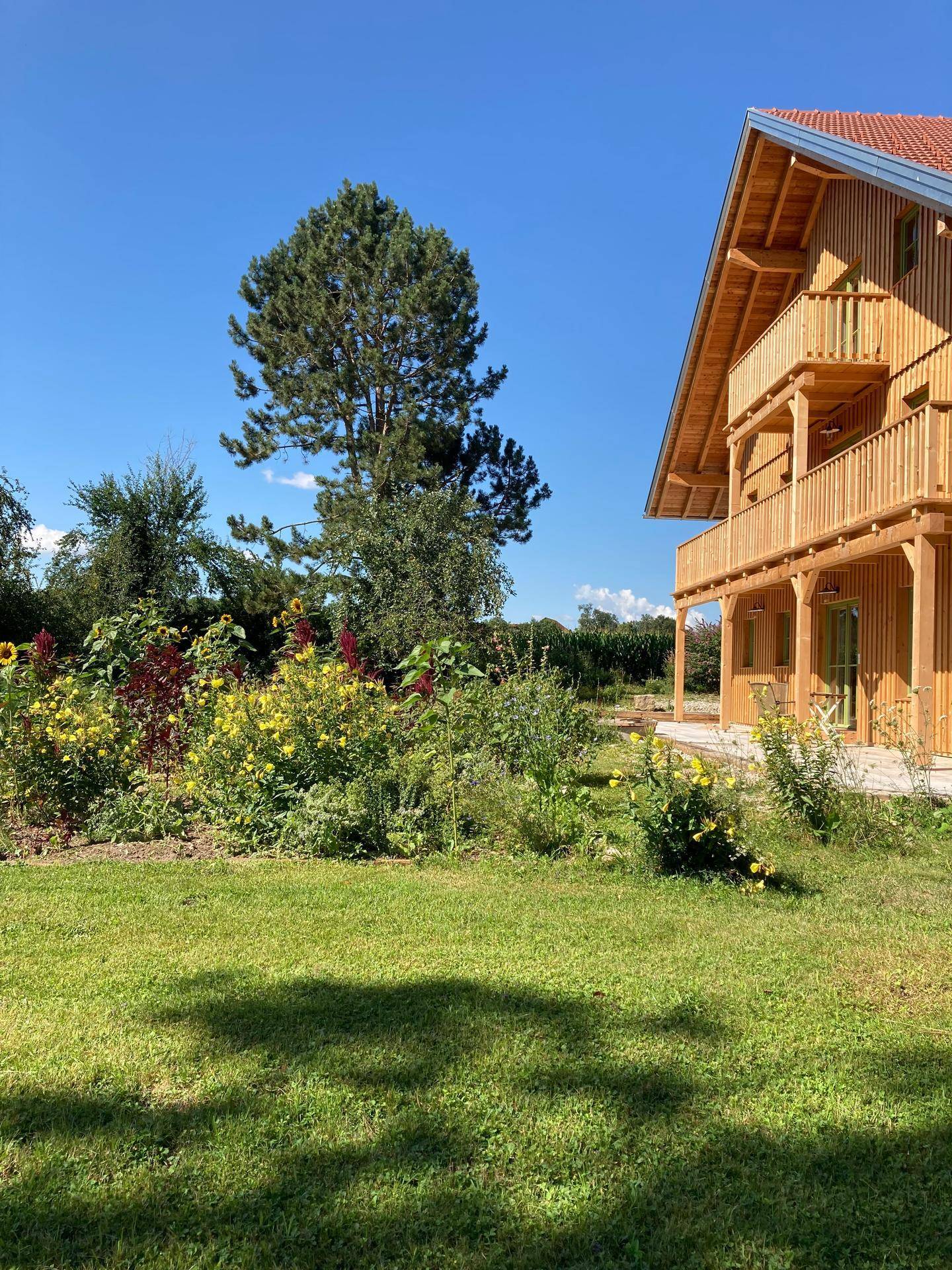 Weitläufiger Gartenbereich mit blühenden Pflanzen und einem großen Baum neben dem Holzhaus.