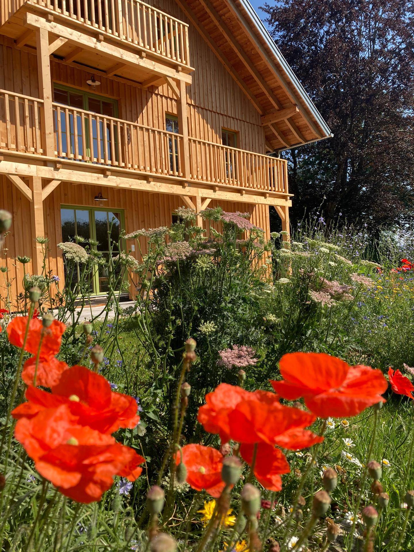 Leuchtend rote Mohnblumen im Vordergrund vor der Holzfassade des Hauses mit Balkonen.