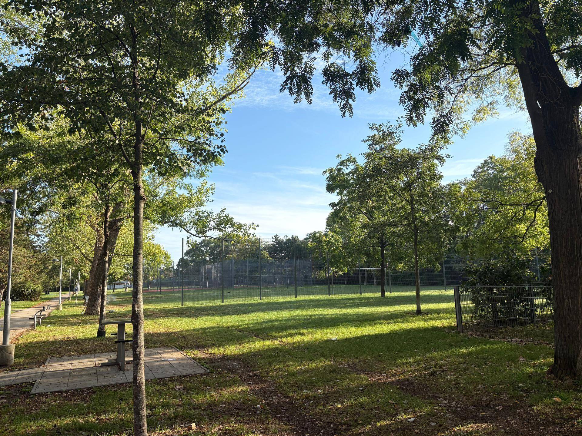 Weitläufige Grünfläche mit Bäumen, Rasen und einem Sportplatz im Hintergrund unter strahlend blauem Himmel.