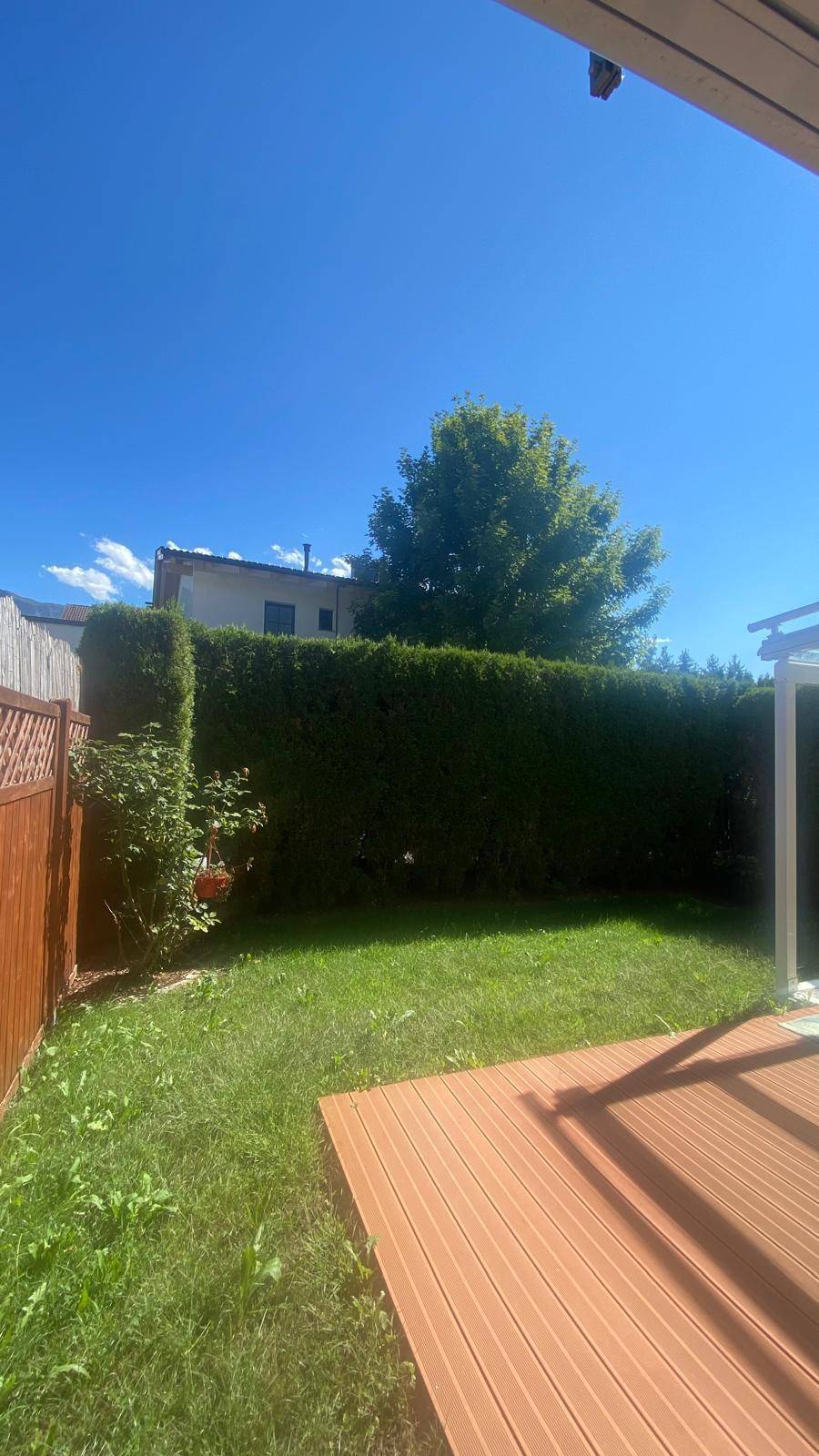 Sonnige Rasenfläche im Garten, umgeben von einer hohen Hecke und einem Holzzaun für Privatsphäre.