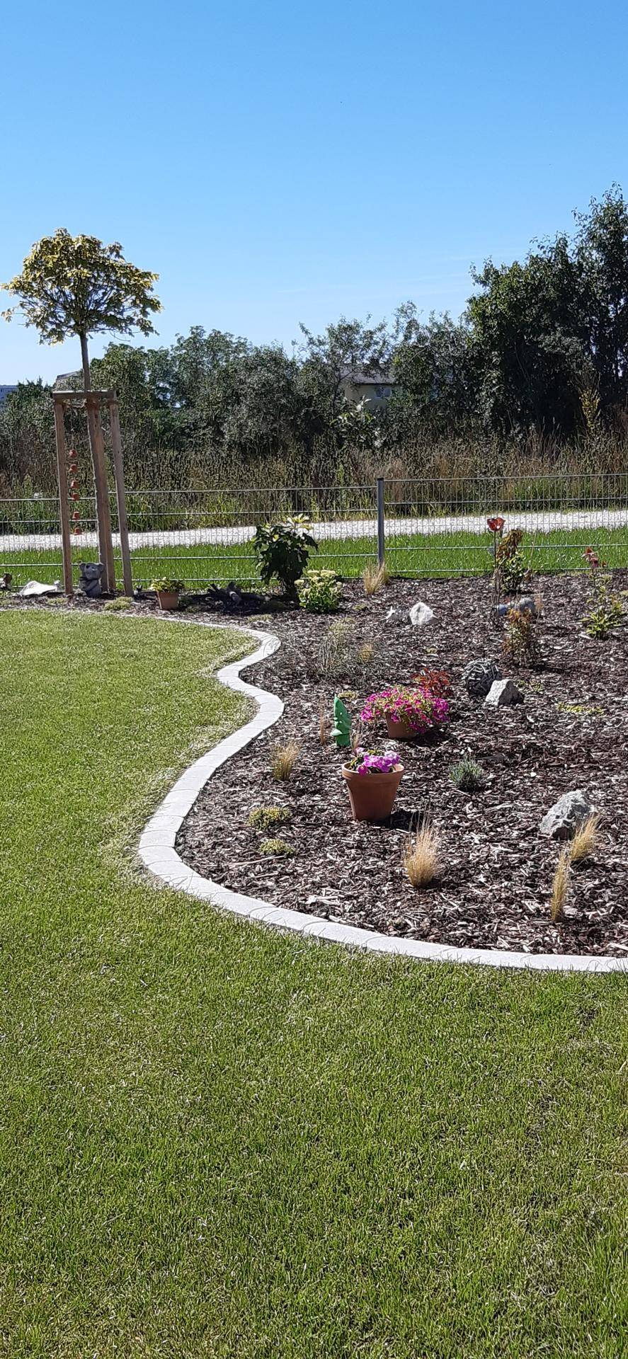 Detailansicht eines sorgfältig angelegten Gartenbeets mit Mulch, jungen Pflanzen und einem kleinen Baum neben dem Rasen.
