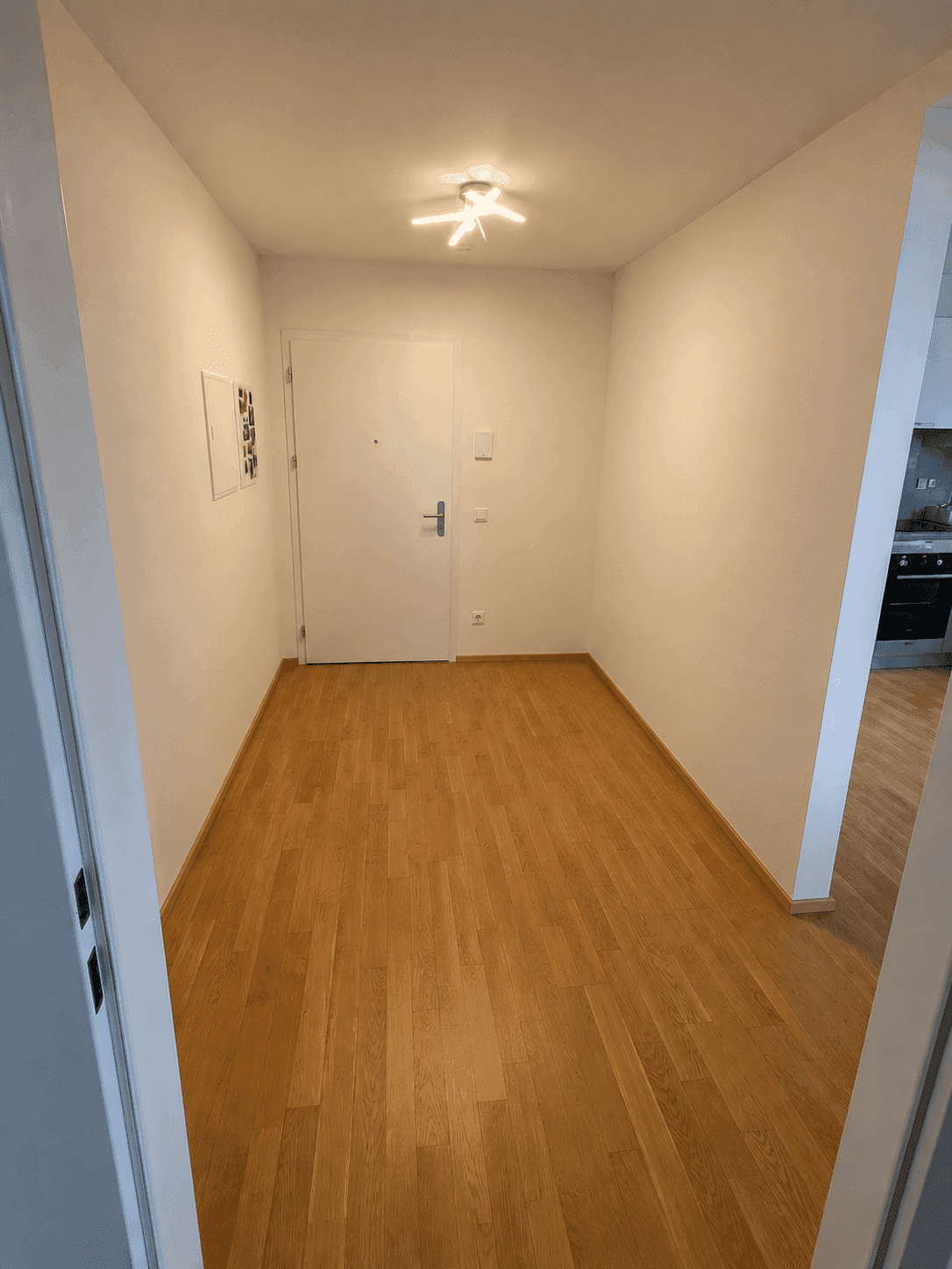 Heller Eingangsbereich mit Holzboden und weißer Eingangstür.