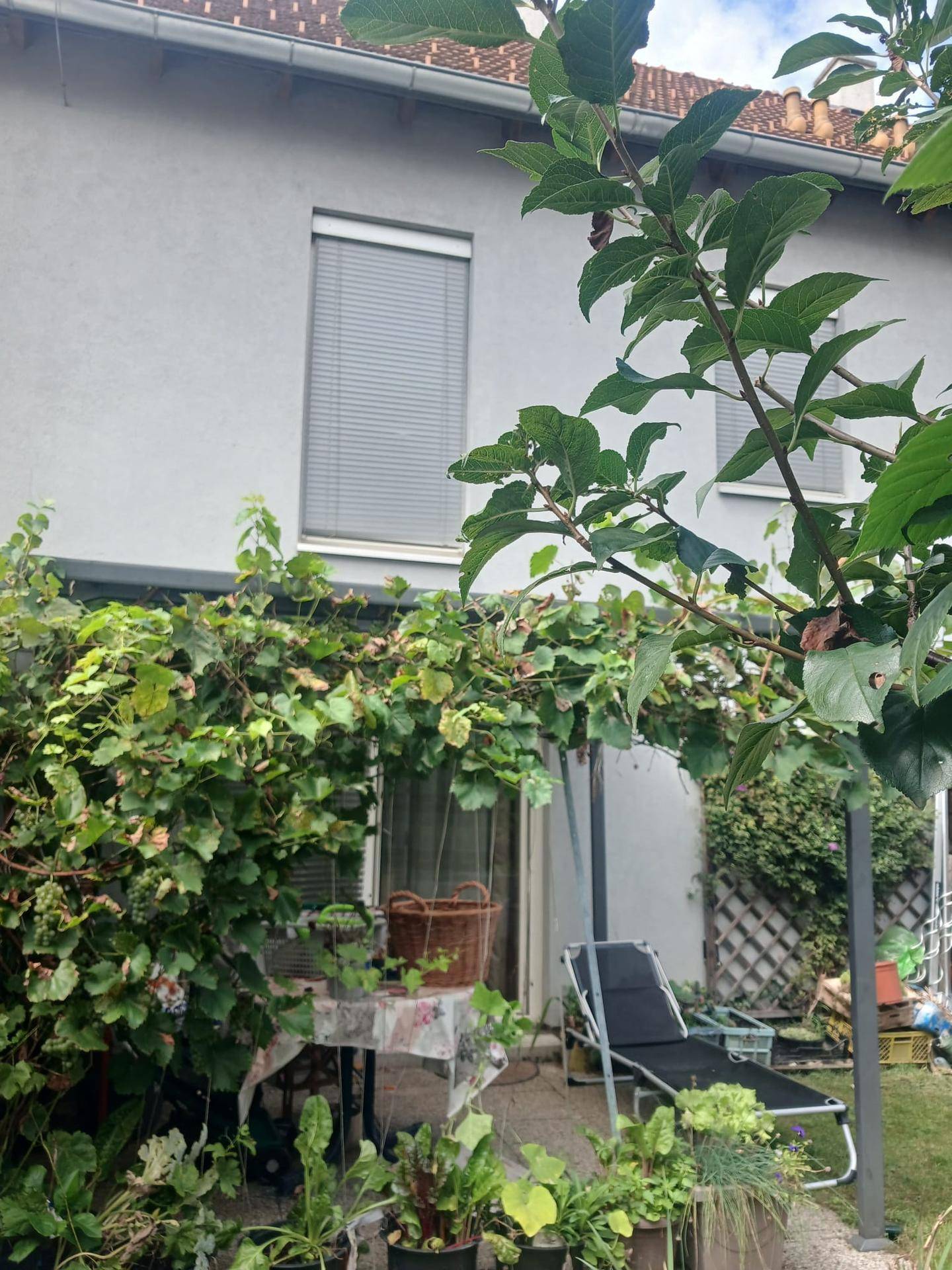 Überdachte Terrasse mit Liegestuhl und vielen Pflanzen, angrenzend an die Hausfassade.
