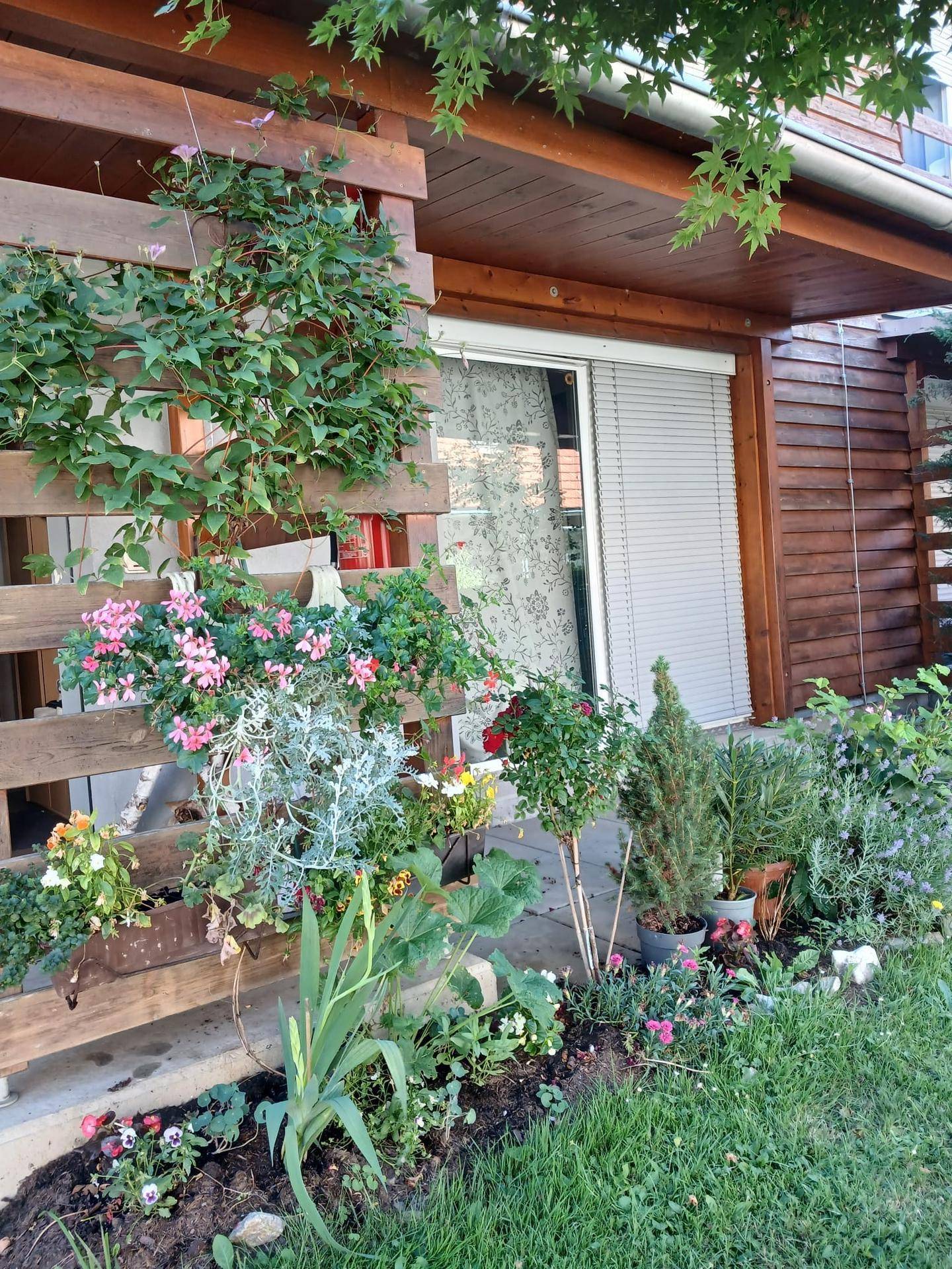 Detailansicht einer Holzfassade mit Fenster, umgeben von üppigen Kletterpflanzen und bunten Blumen.