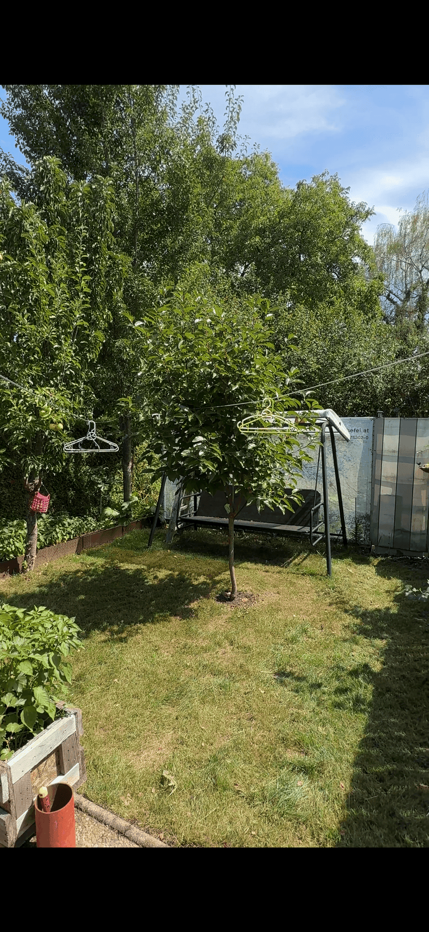 Grüner Gartenbereich mit Rasenfläche, Bäumen und einer Gartenschaukel, ideal zum Entspannen.