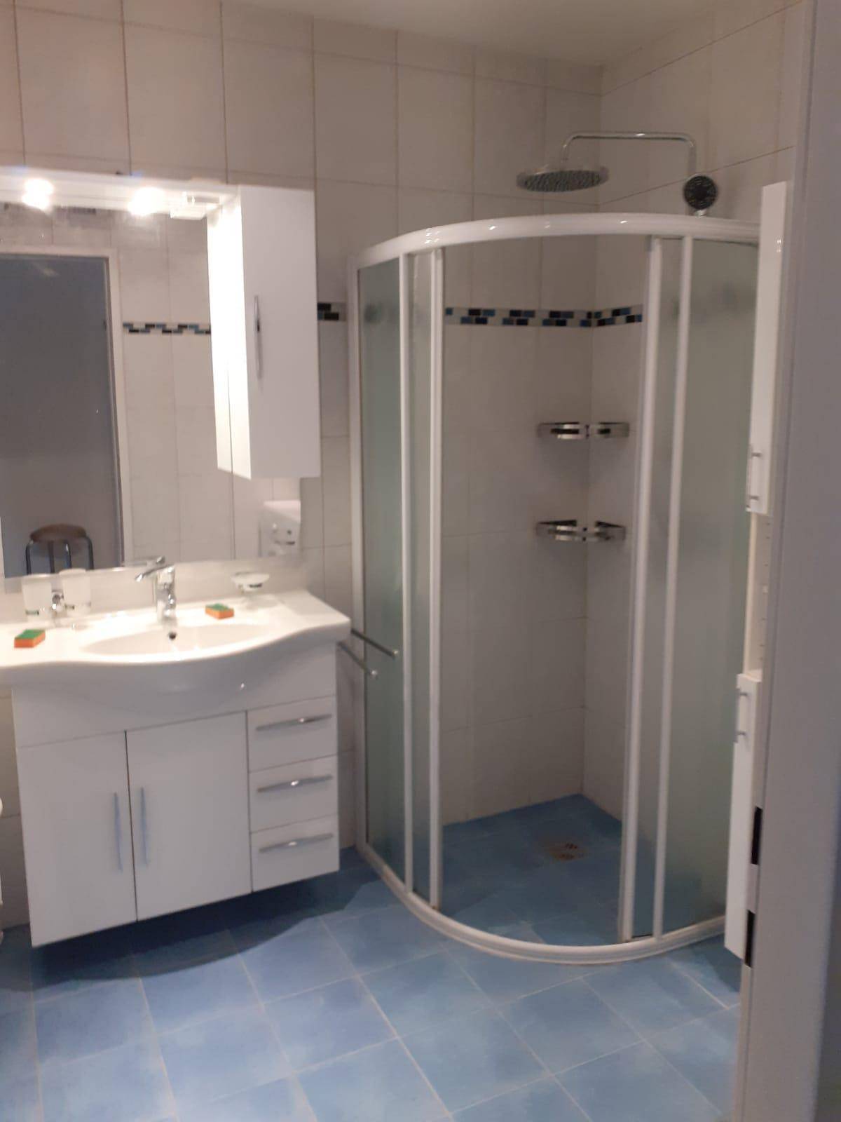 Badezimmer mit blauen Fliesen, Duschkabine und einem einzelnen Waschbecken mit Spiegelschrank.