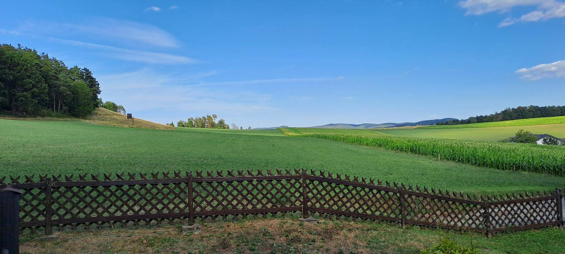 Weitläufiger Blick auf grüne Felder und sanfte Hügel unter einem klaren blauen Himmel.