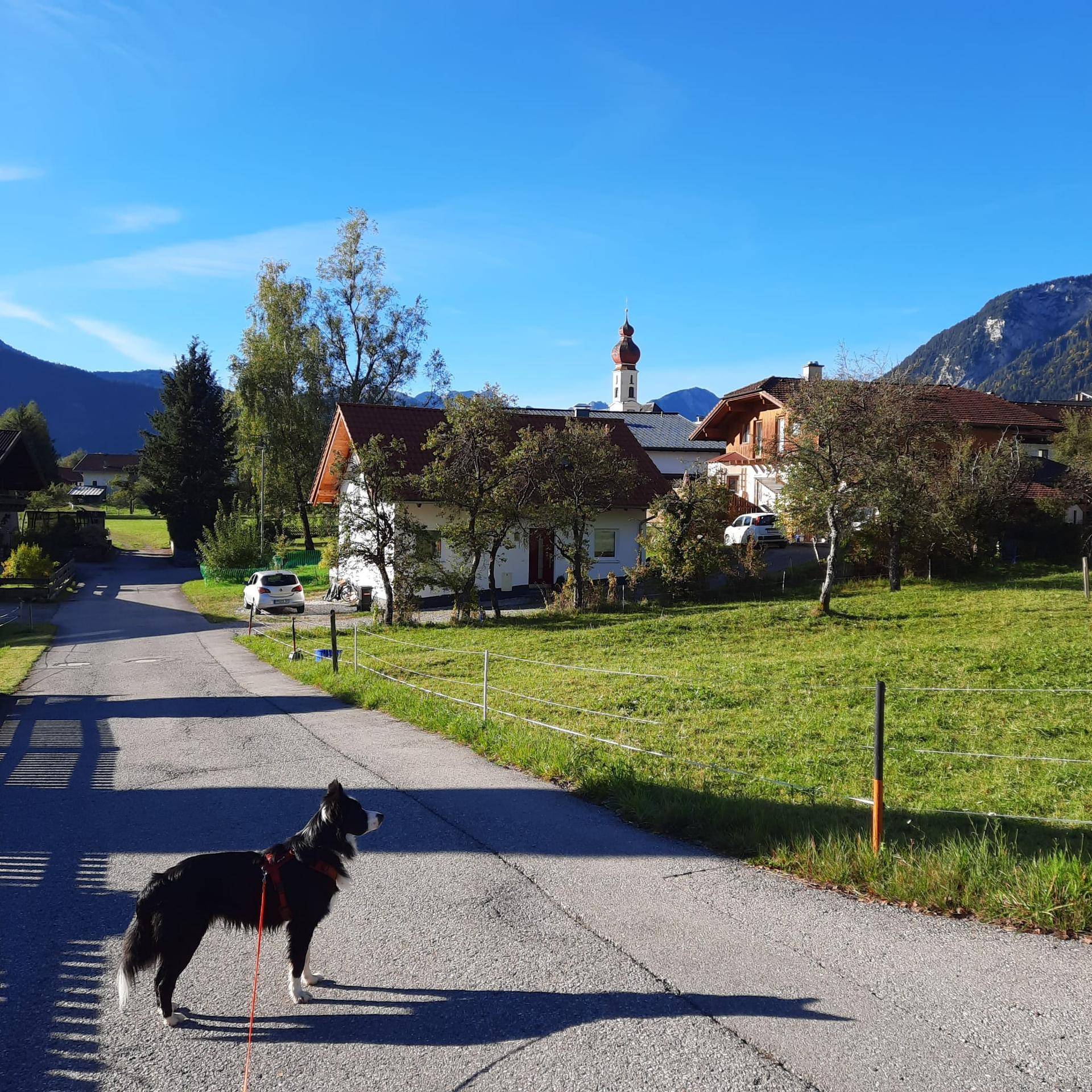 Ländliche Umgebung mit Blick auf das Haus, grüne Wiesen und Berge im Hintergrund.