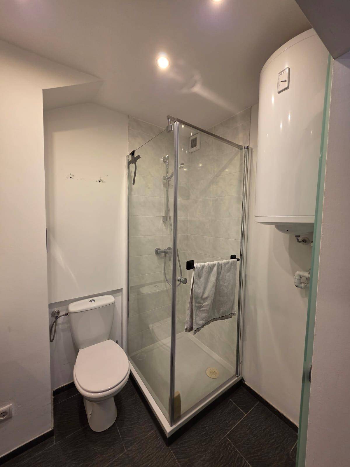 Modernes Badezimmer mit Duschkabine, Toilette und dunklem Fliesenboden.