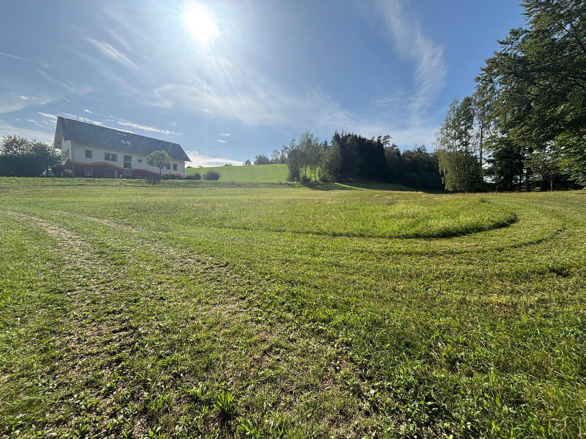 Weitläufige grüne Wiese mit einem Haus am Horizont unter einem hellen, sonnigen Himmel und Wald im Hintergrund.