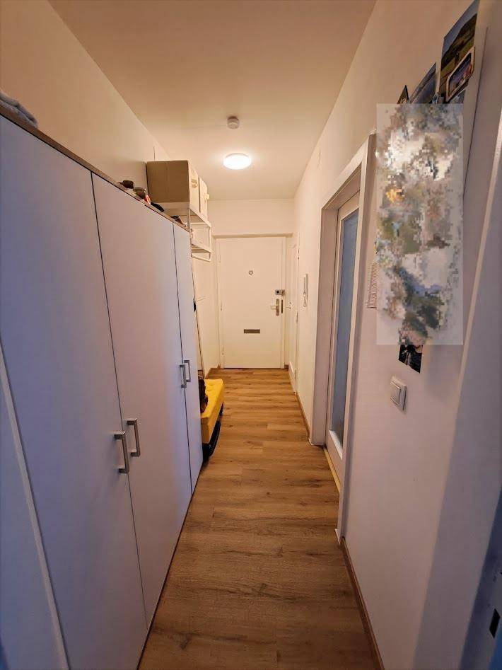 Heller Flur mit integrierten Schränken und Holzboden, führt zur Eingangstür.