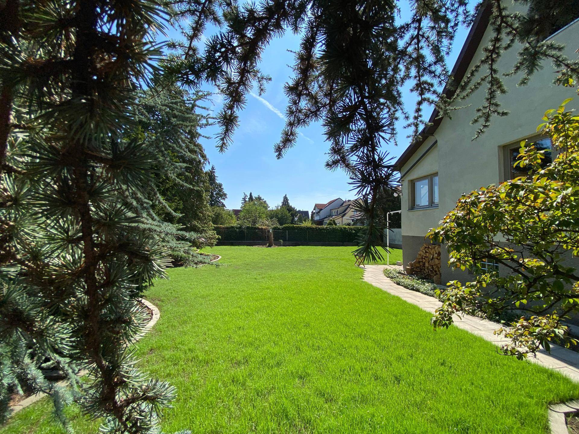 Großer, gepflegter Rasen im Gartenbereich, umgeben von hohen Bäumen unter blauem Himmel.