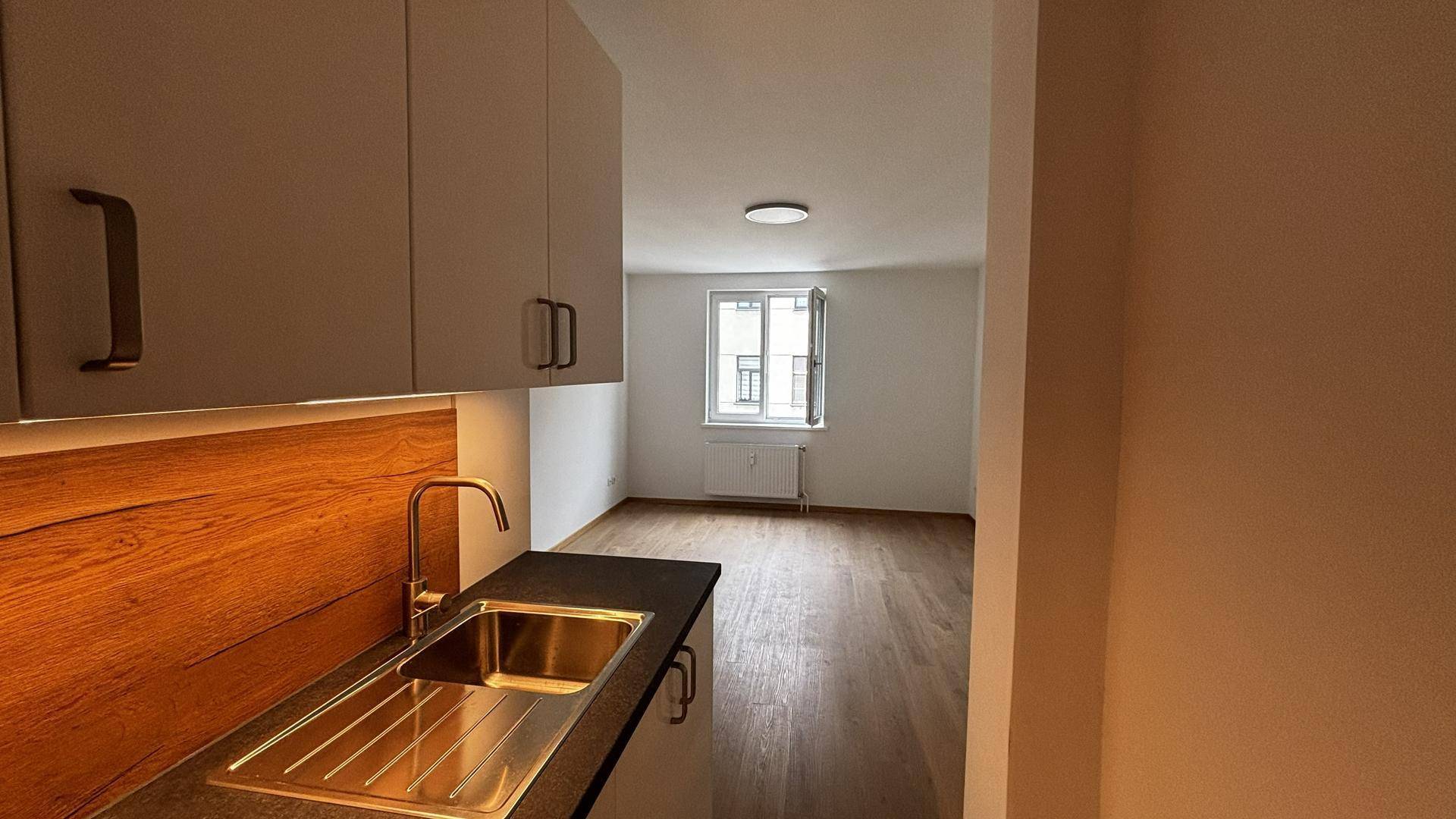 Küchenzeile mit Spüle und Arbeitsplatte, im Hintergrund ist der helle Wohnbereich sichtbar.