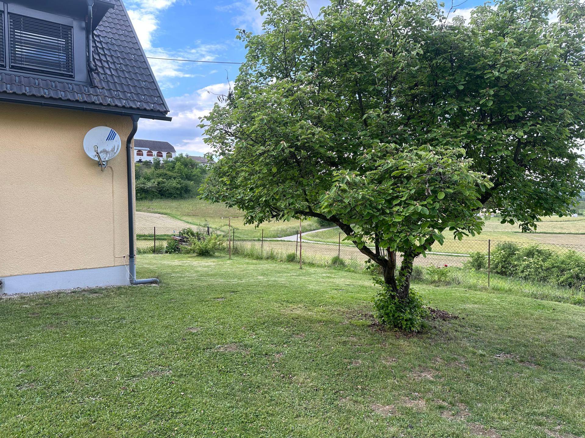 Grüner Gartenbereich neben dem Haus mit einem großen Baum und Blick auf Felder.
