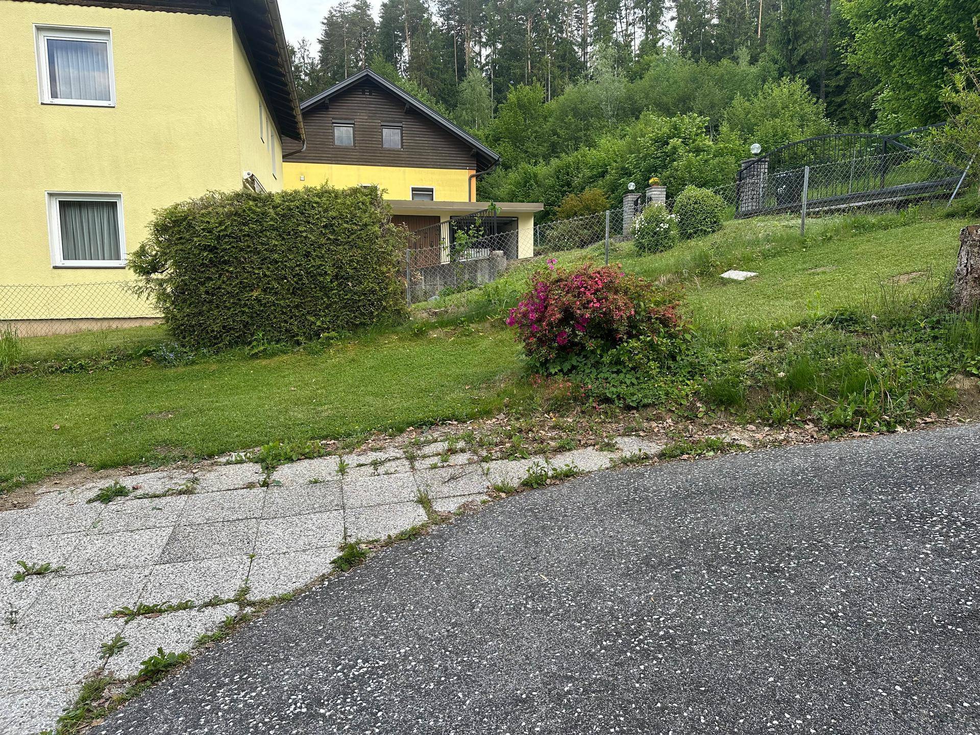 Teilansicht des Hauses mit gepflegtem Gartenbereich und Hecke im Vordergrund.