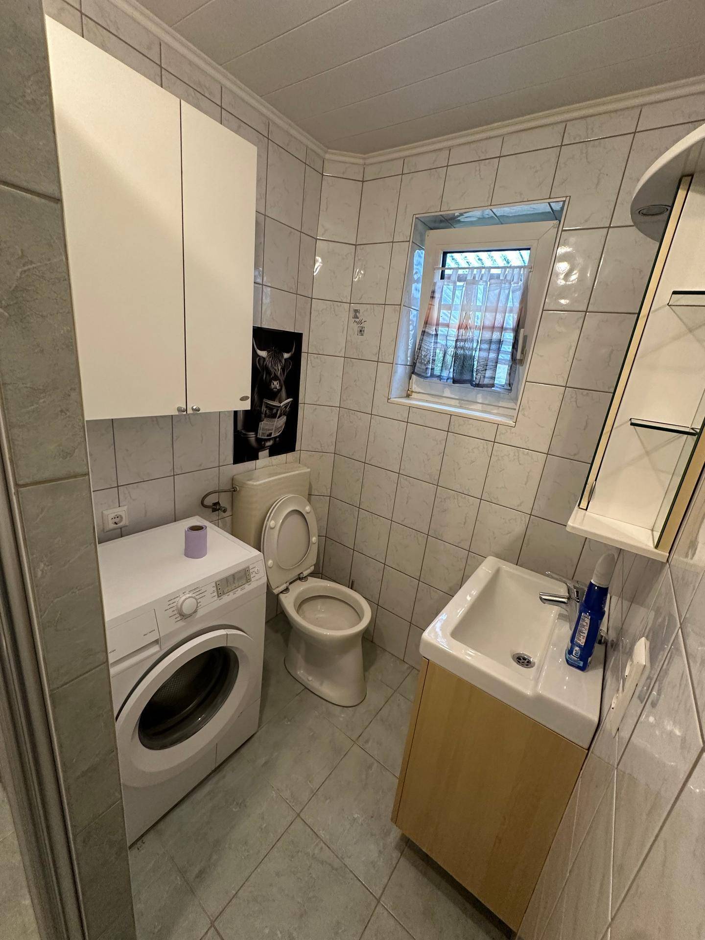 Kleines Badezimmer mit WC, Waschbecken und Waschmaschine, gefliest in hellen Tönen.