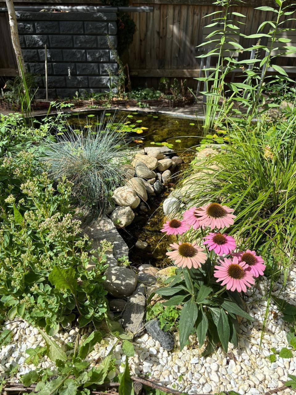 Idyllischer Gartenbereich mit kleinem Teich, Steinen und blühenden Pflanzen.