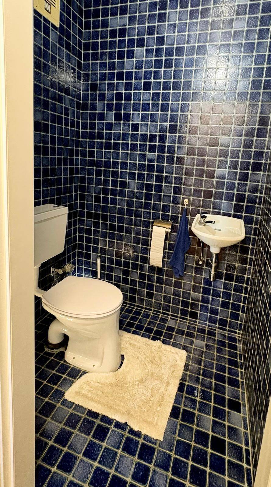 Separate Toilette mit blauen Fliesen, WC und kleinem Handwaschbecken.