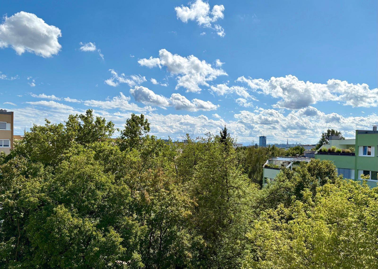 Weitläufiger Blick ins Grüne mit Bäumen und Gebäuden unter blauem Himmel.
