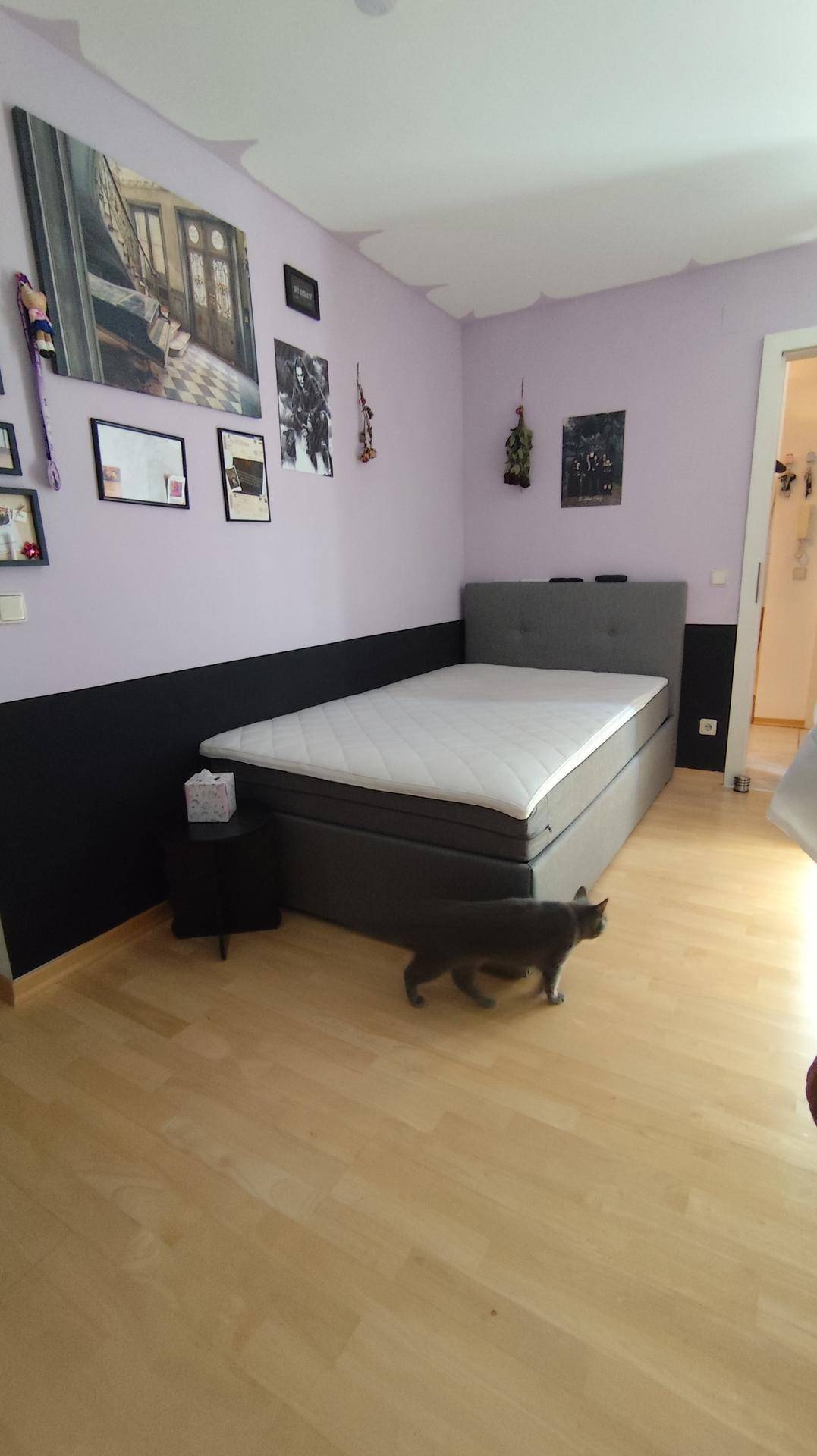 Helles Schlafzimmer mit Boxspringbett, lila und schwarzer Wandgestaltung und einem spielenden Kätzchen.