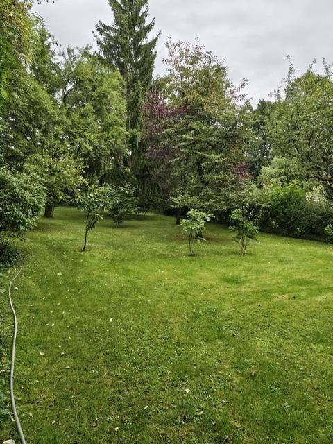 Großer, gepflegter Garten mit weitläufiger Rasenfläche und altem Baumbestand.