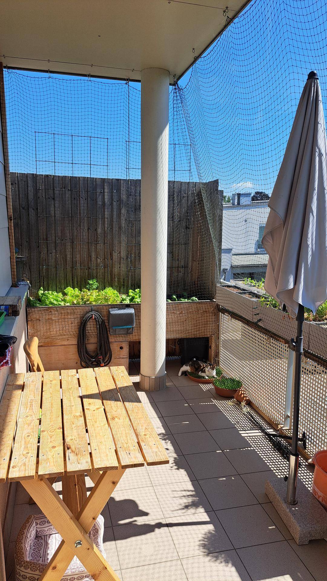 Sonniger Balkon mit Holztisch, Sonnenschirm und Pflanzenbeeten, umgeben von einem Schutznetz.