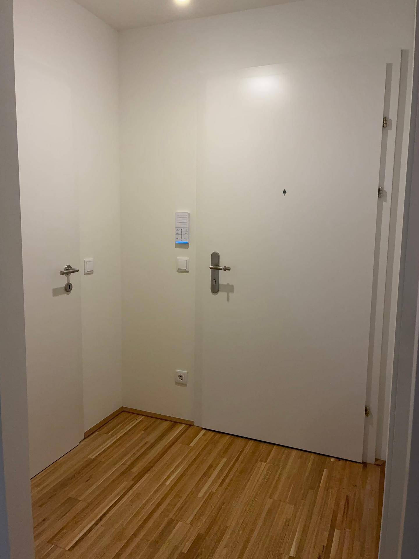 Eingangstür einer Wohnung von innen mit Holzboden und weiß gestrichenen Wänden.