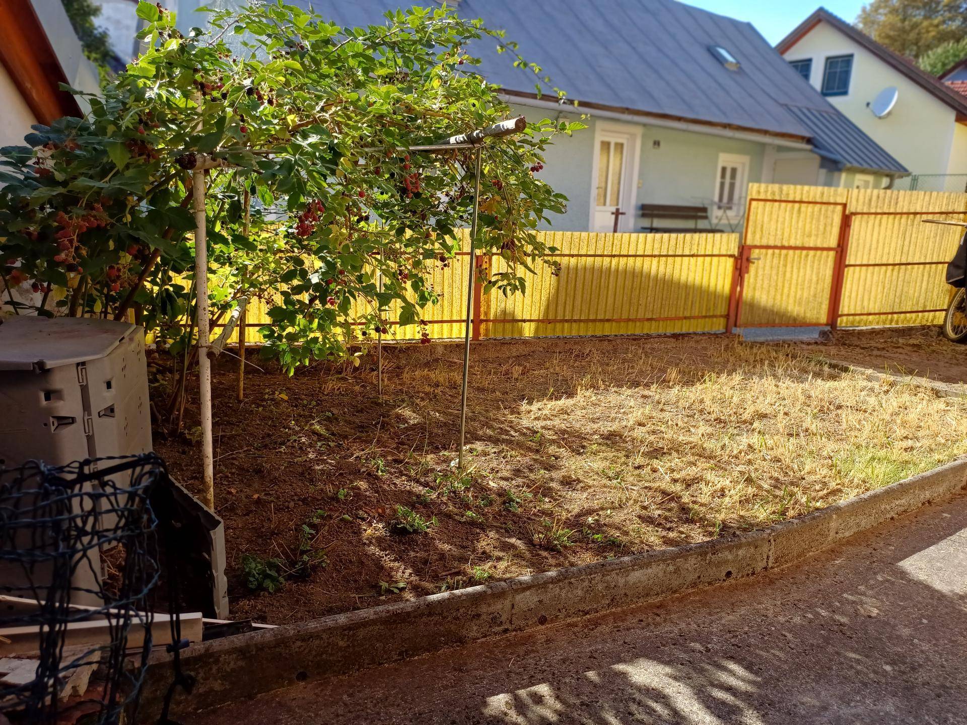 Kleiner Gartenbereich mit Beerensträuchern und gelbem Zaun im Hintergrund.