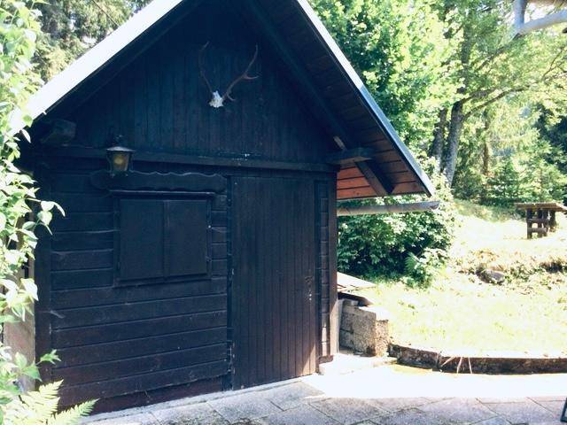 Rustikaler Holzschuppen mit Satteldach und Hirschgeweih-Dekoration im Grünen.
