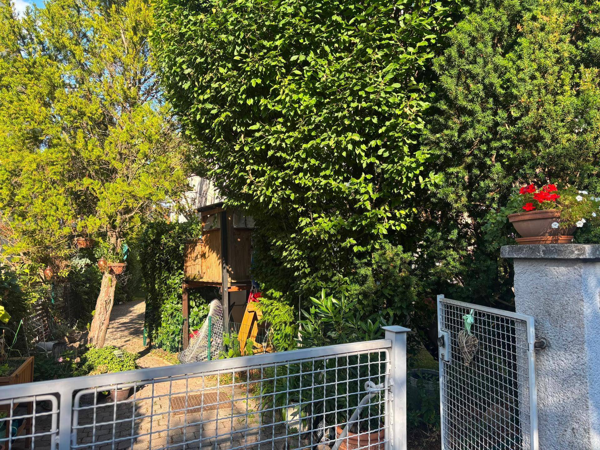 Grüner Gartenbereich mit üppiger Vegetation, einem kleinen Holzschuppen und einem Gartentor.
