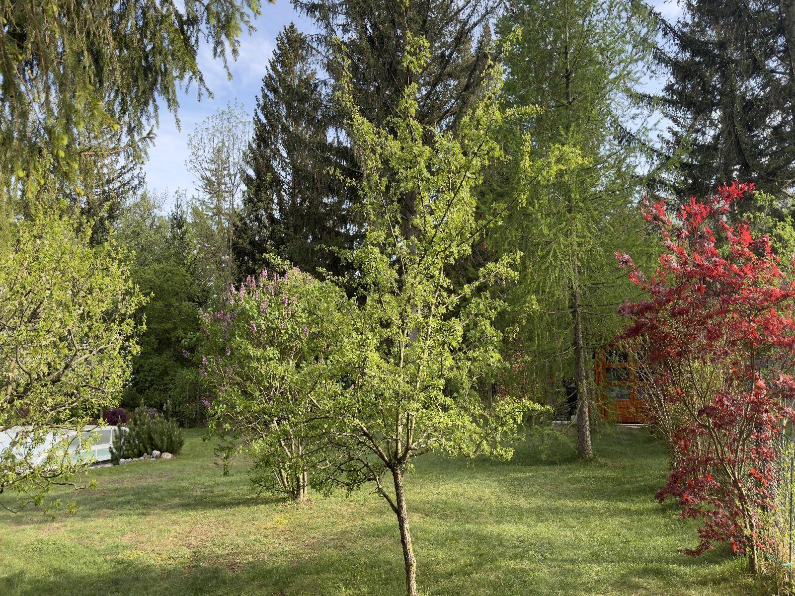 Slide 44