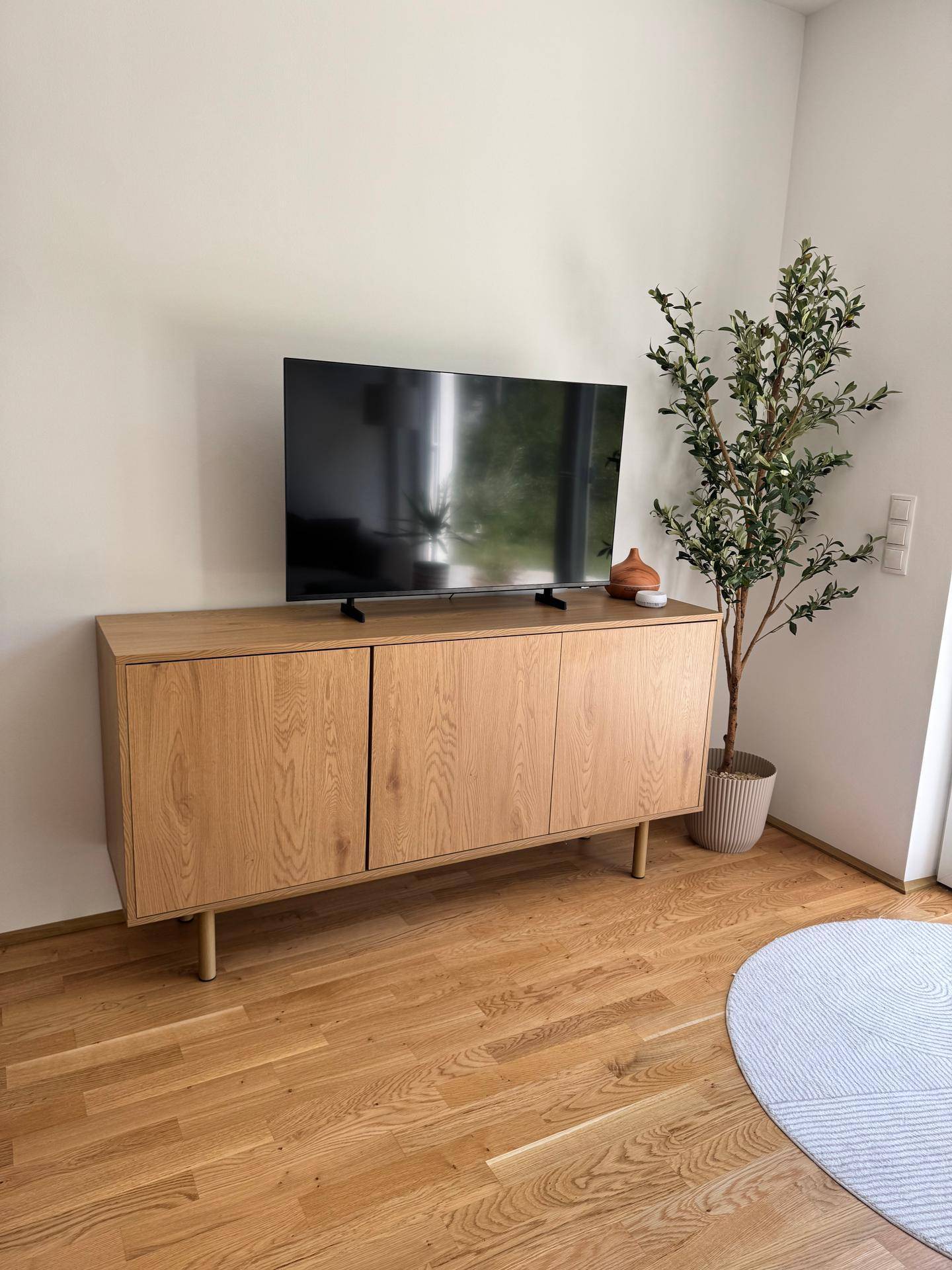 Wohnzimmerdetail mit modernem Holz-TV-Möbel und dekorativer Zimmerpflanze.