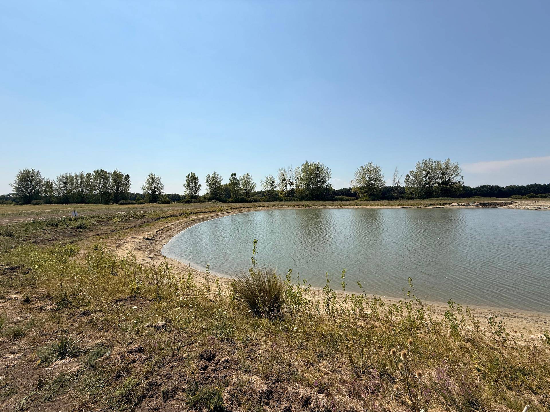 Blick auf einen See mit sandigem Ufer und wilder Vegetation im Vordergrund unter klarem Himmel.