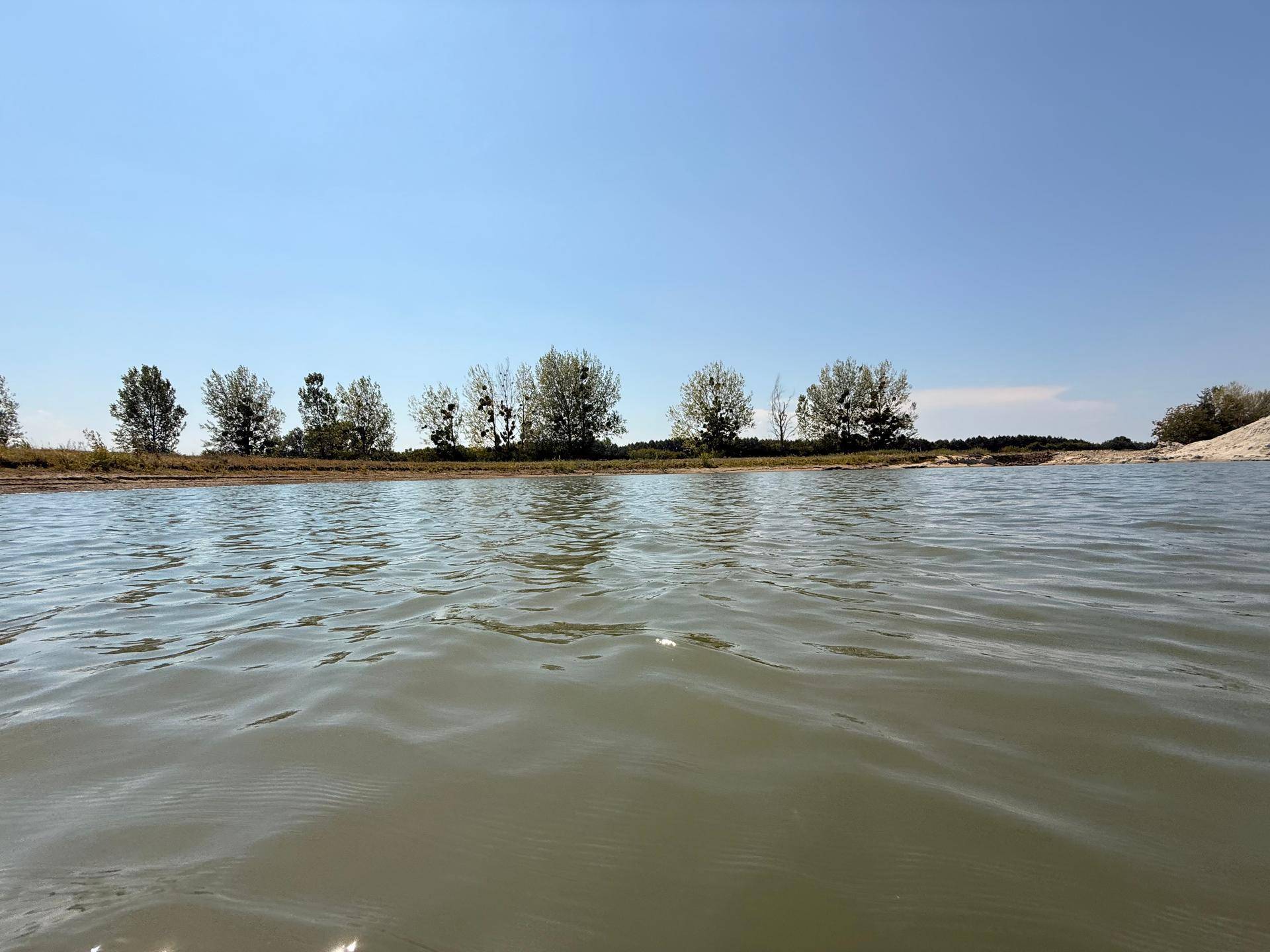 Ruhige Wasseroberfläche mit einer Reihe von Bäumen am fernen Ufer unter einem strahlend blauen Himmel.