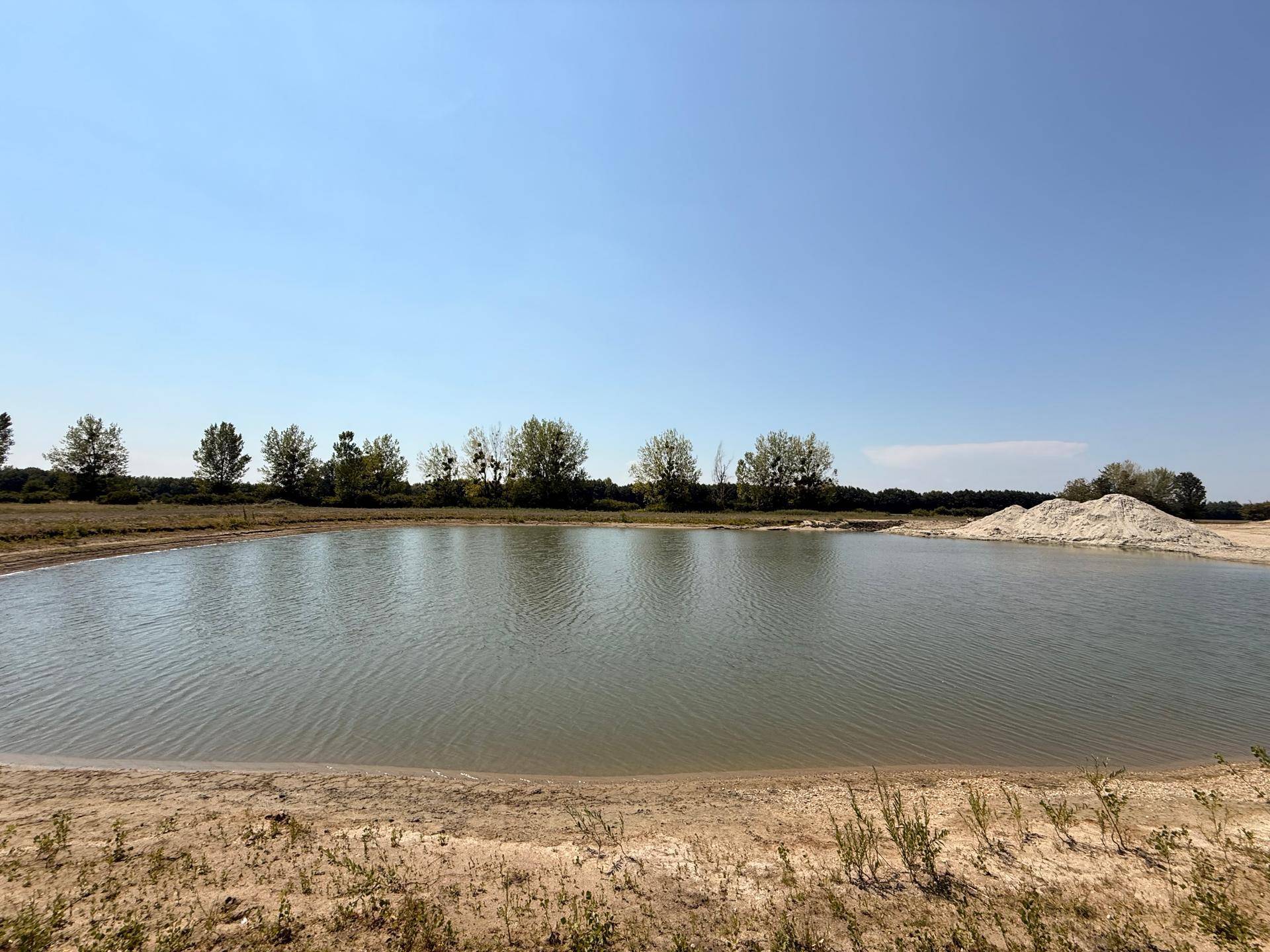 Ruhiger Teich mit sandigen Ufern und einer Baumreihe am Horizont unter strahlend blauem Himmel.