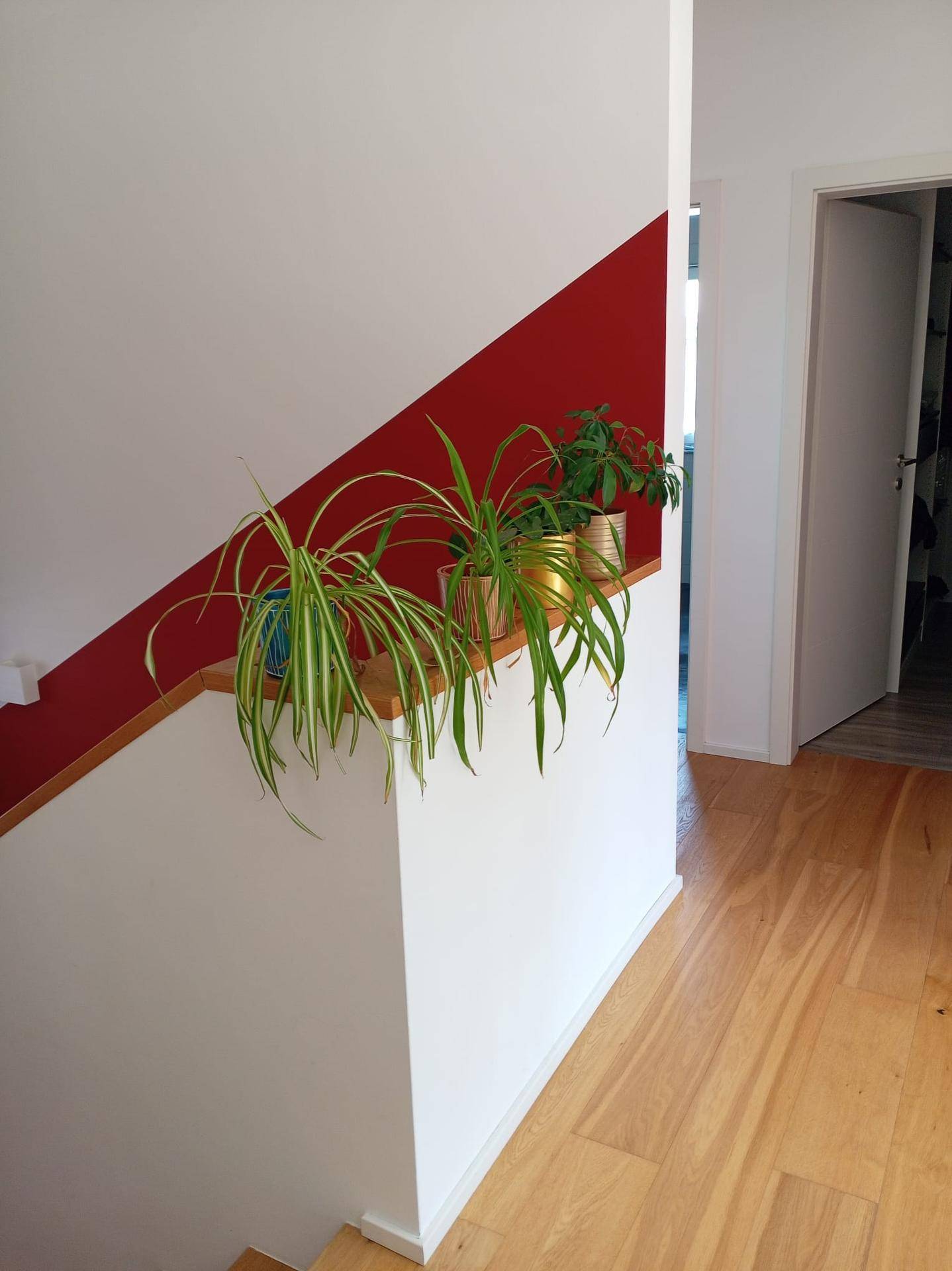Heller Flur mit Holztreppe, Pflanzen auf der Ablage und roter Akzentwand.