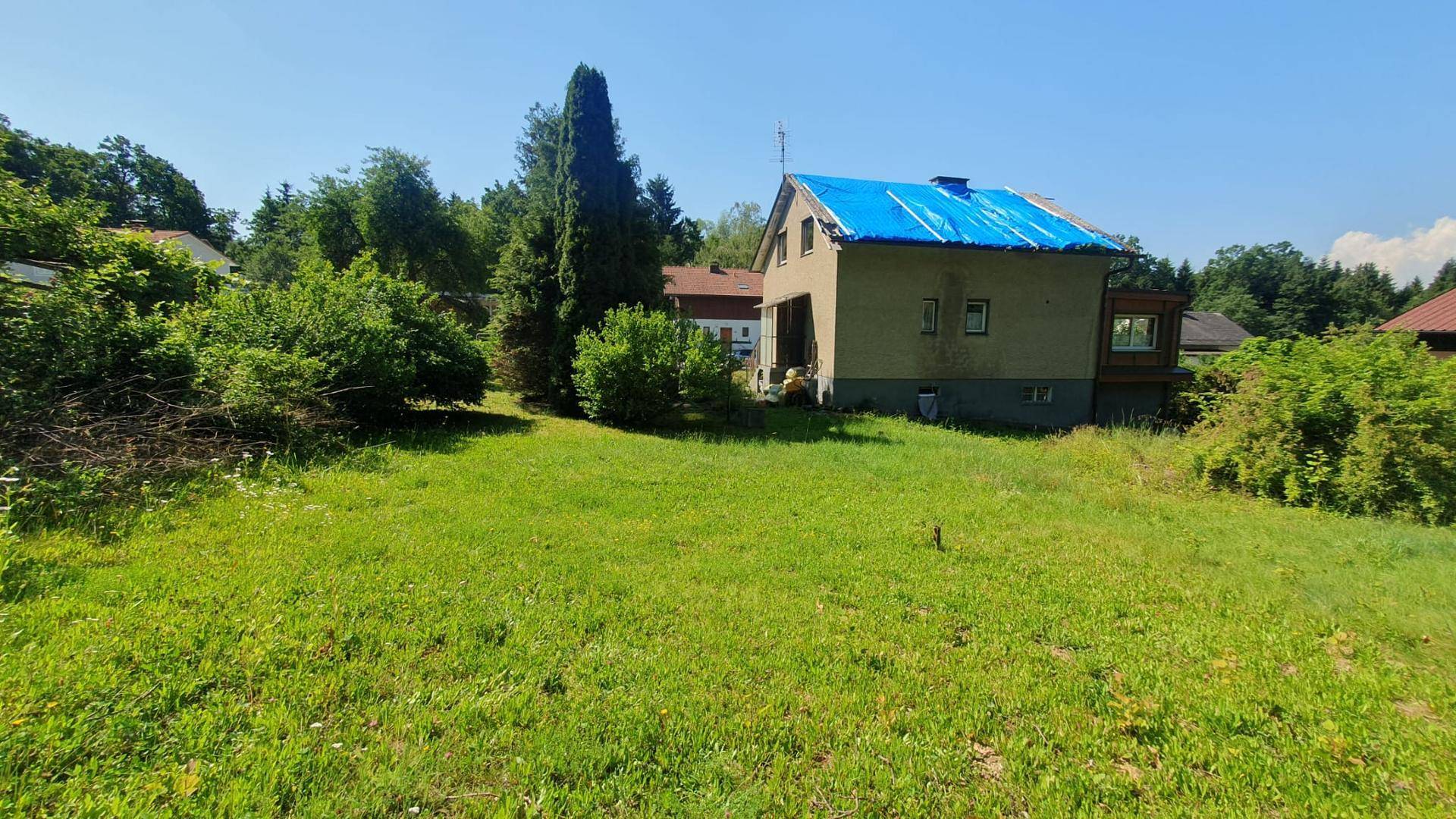 Haus mit blauer Dachplane auf einem grünen, leicht abfallenden Grundstück mit Bäumen.