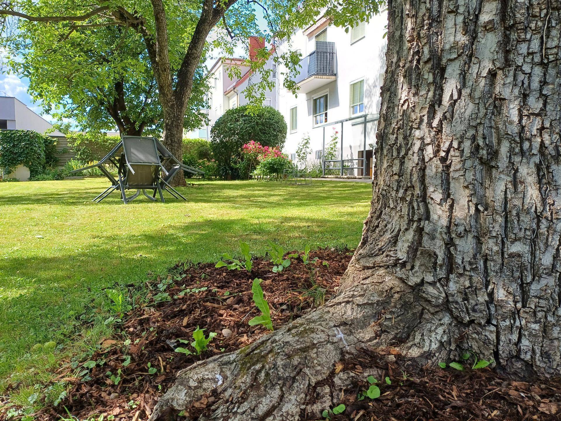 Idyllischer Gartenbereich mit altem Baumstamm, Rasen und Sitzgelegenheiten im Hintergrund.