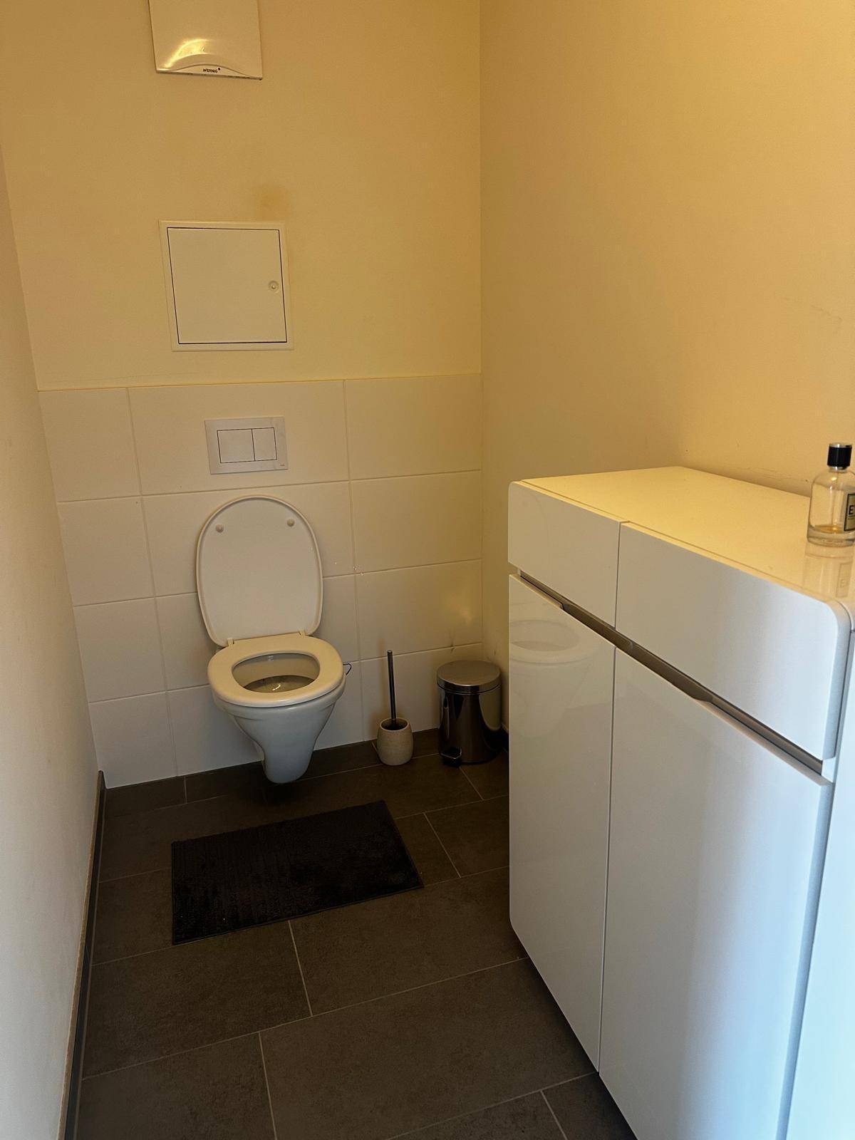 Kleines Gäste-WC mit Toilette, modernem Schrank und dunklen Fliesen.