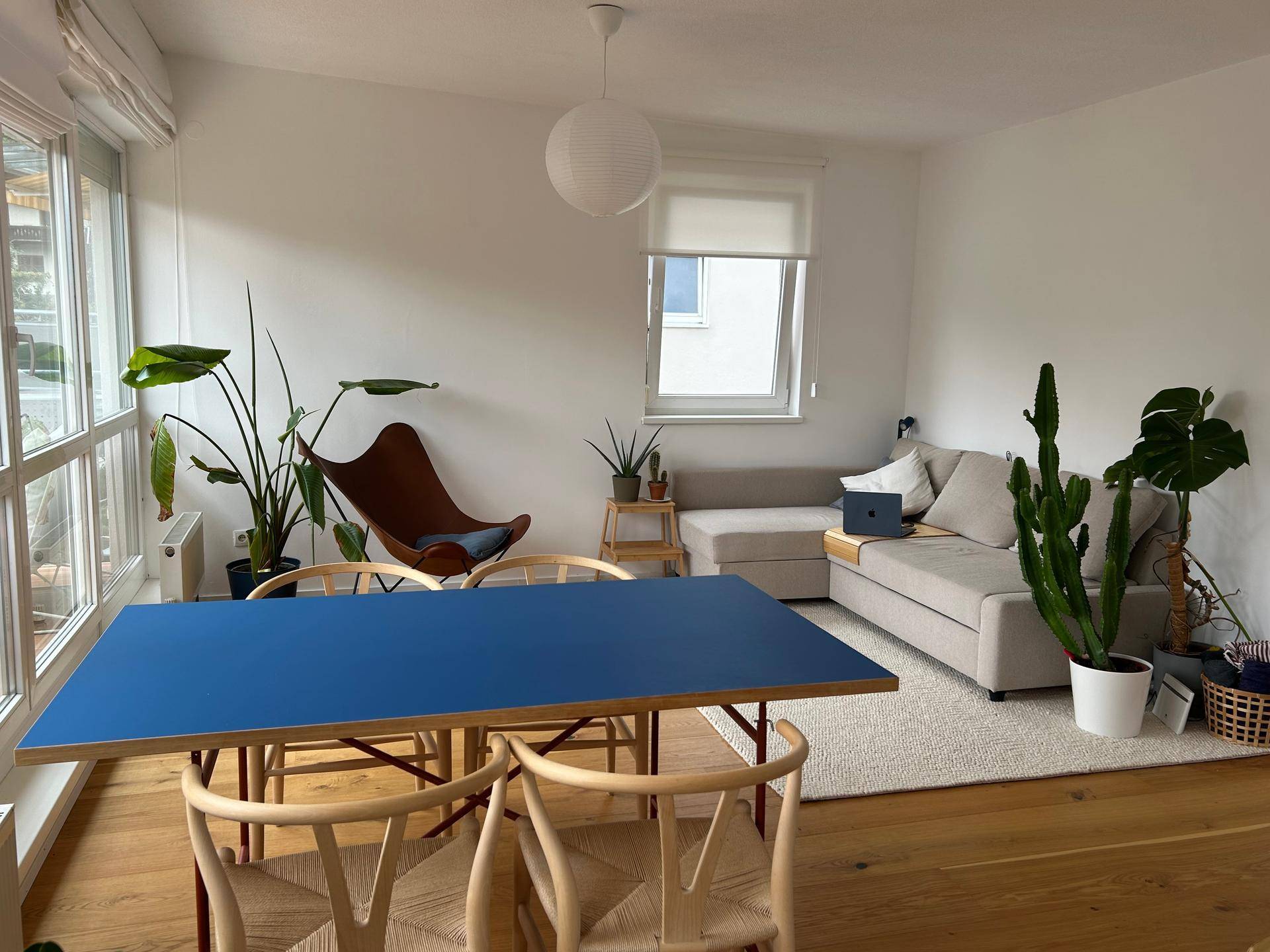 Gemütlicher Wohnbereich mit Sofa, Teppich und einem Essbereich, umgeben von Pflanzen und natürlichem Licht.