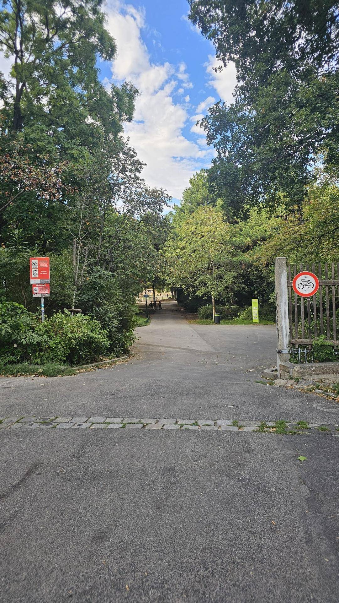 Slide 8